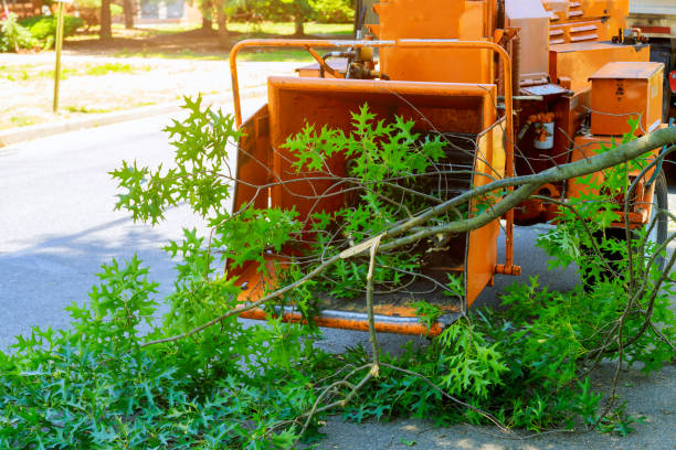 Best Tree Mulching  in Westworth Village, TX